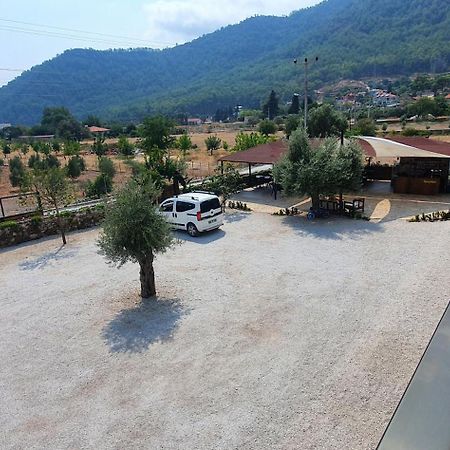Olive Tree Apart Hotel Muğla Exterior foto
